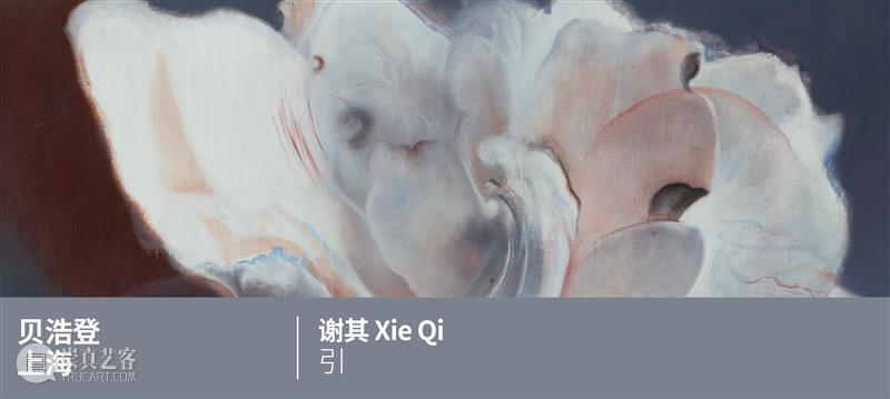 贝浩登上海 | 招聘：总监助理 崇真艺客