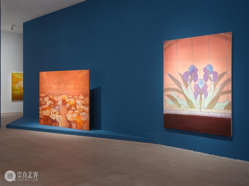 白盒子现场|徐小国个展「双城」正在展出 崇真艺客