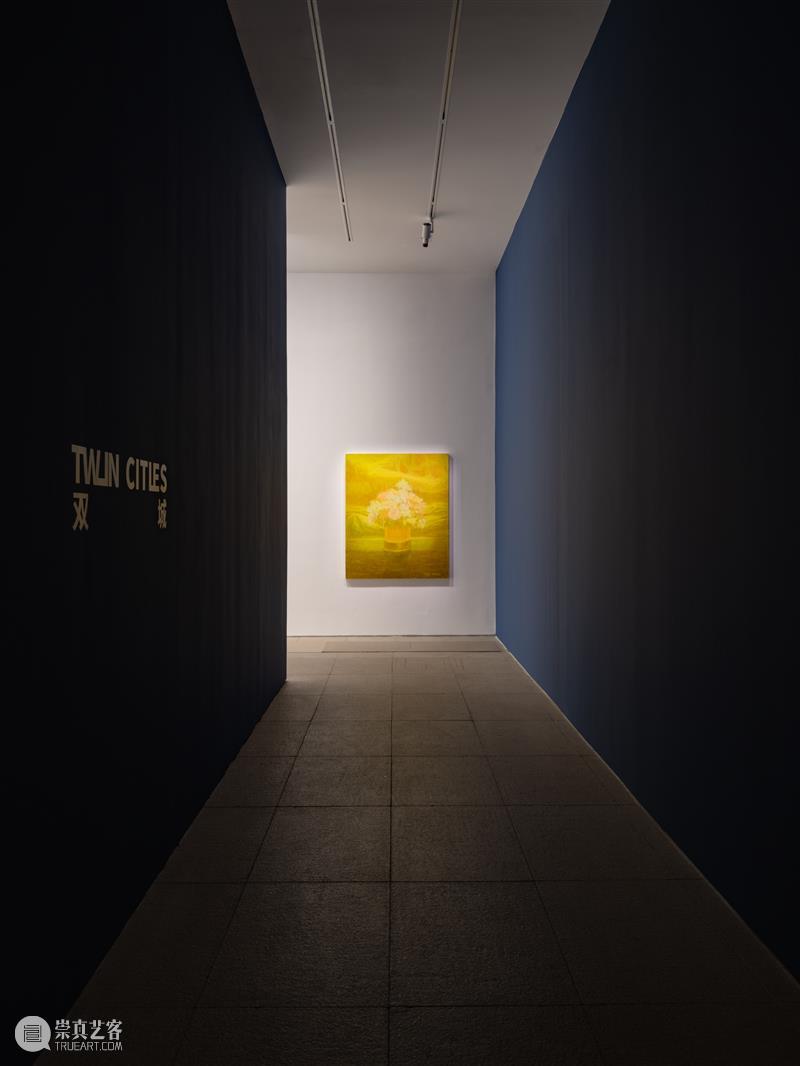 白盒子现场|徐小国个展「双城」正在展出 崇真艺客