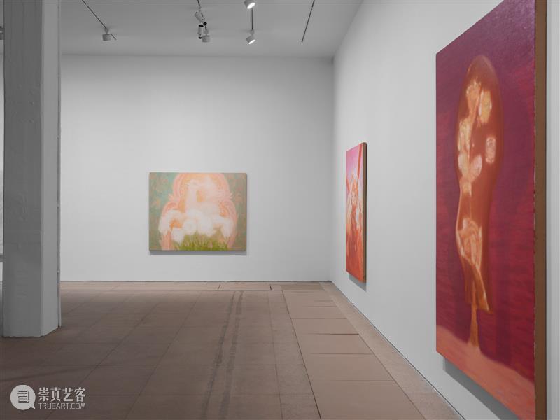 白盒子现场|徐小国个展「双城」正在展出 崇真艺客