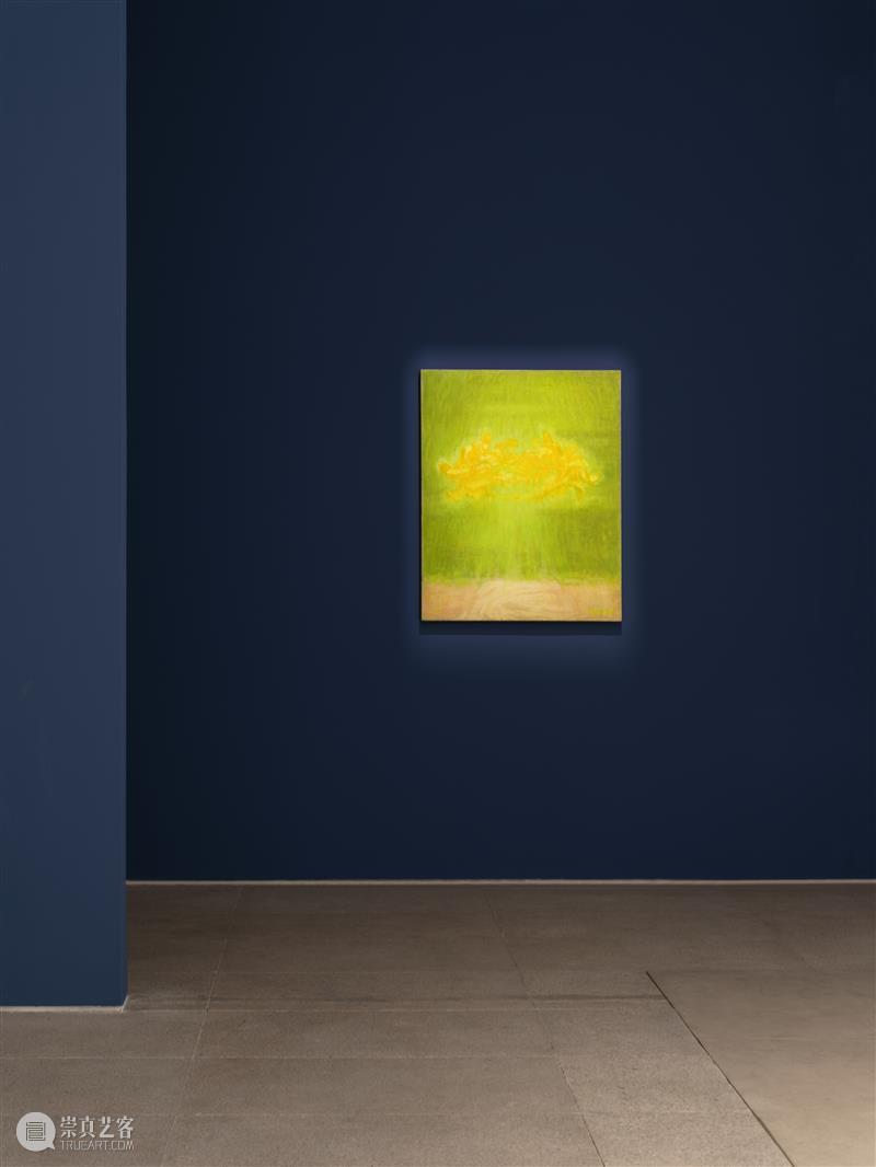 白盒子现场|徐小国个展「双城」正在展出 崇真艺客