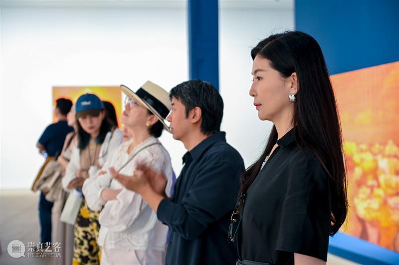 白盒子现场|徐小国个展「双城」正在展出 崇真艺客