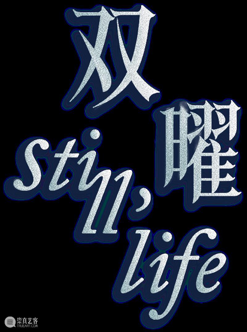 会员活动预告｜“双曜 / Still, Life：刘佳玉个展”开幕礼遇 崇真艺客