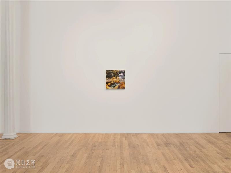 新讯｜袁远｜纽约Bortolami画廊 崇真艺客
