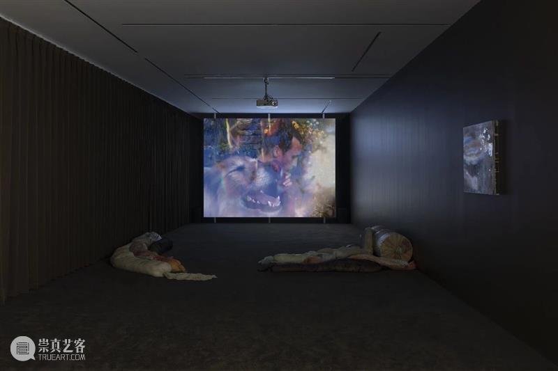 Longlati写作 | 赵欣昕：潮解的标本——米莫萨·埃查尔德与《冬虫夏草》 崇真艺客