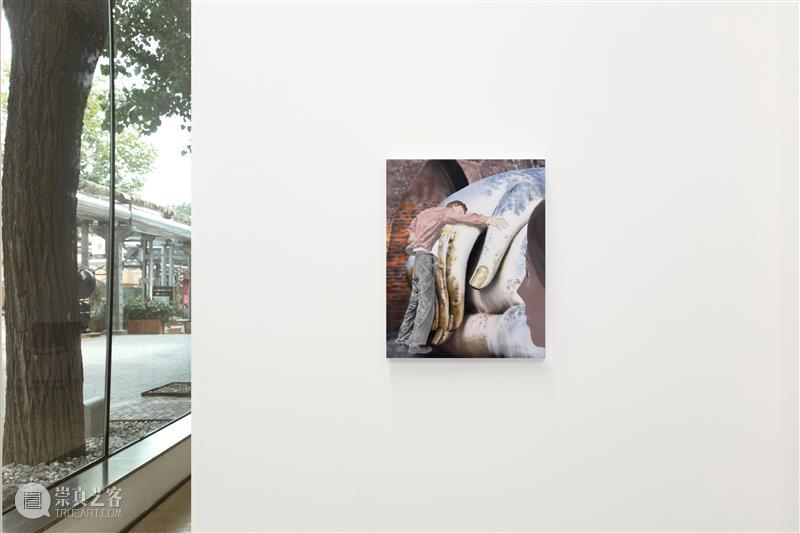 站台中国|饶维懿个展《温室》展览现场 崇真艺客