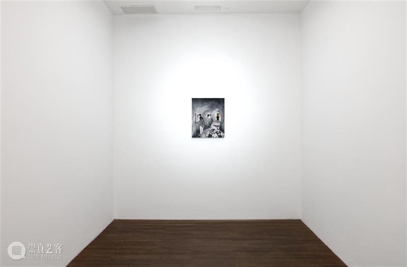 站台中国|饶维懿个展《温室》展览现场 崇真艺客