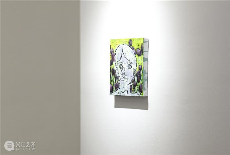 站台中国|饶维懿个展《温室》展览现场 崇真艺客