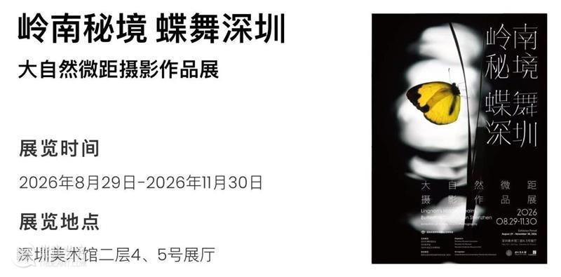 深圳美术馆 | 十月展讯&国庆中秋观展指南 崇真艺客