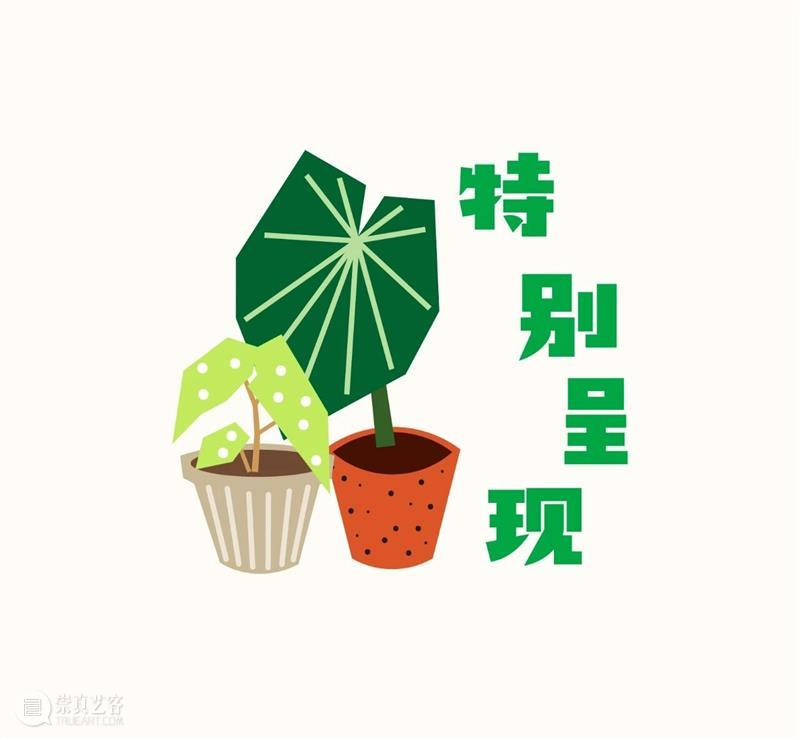 浇个盆友中秋植物市集|工作坊、摊主名单全放送~ 崇真艺客