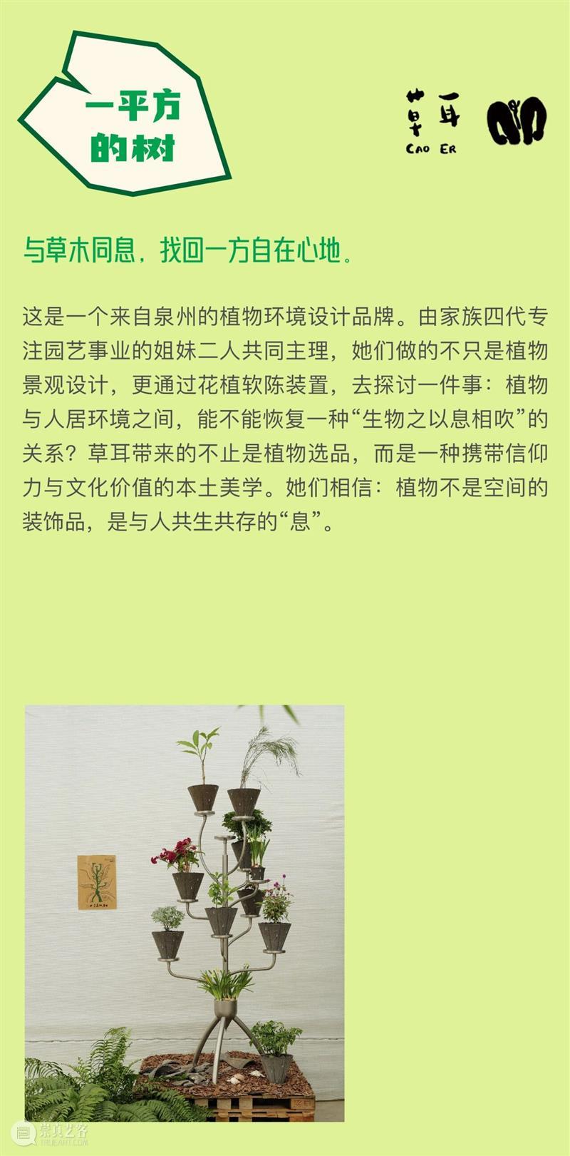 浇个盆友中秋植物市集|工作坊、摊主名单全放送~ 崇真艺客
