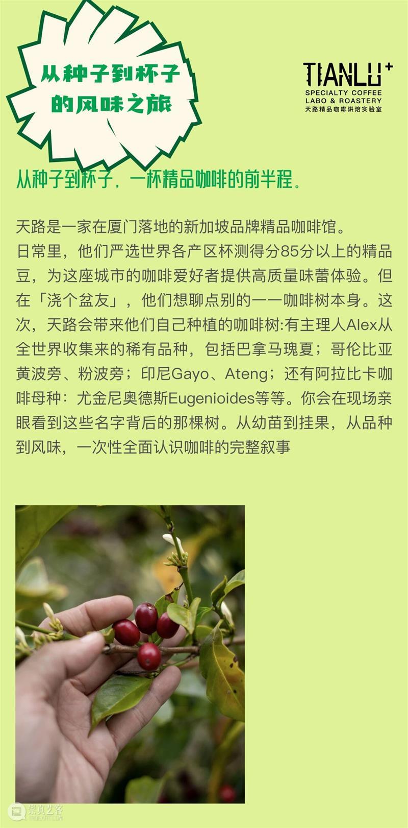 浇个盆友中秋植物市集|工作坊、摊主名单全放送~ 崇真艺客