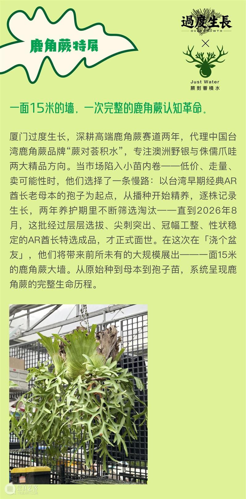 浇个盆友中秋植物市集|工作坊、摊主名单全放送~ 崇真艺客