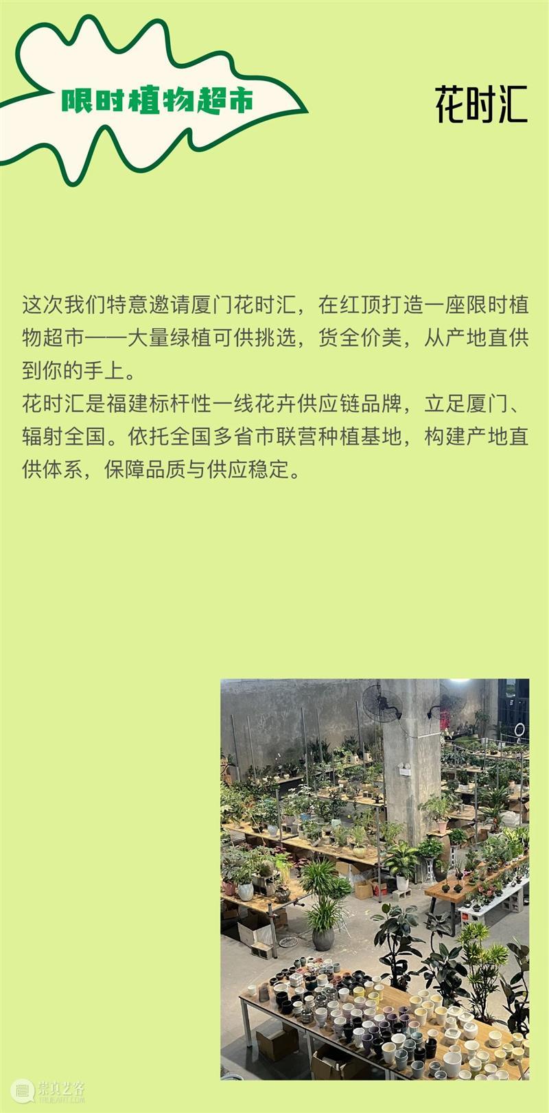 浇个盆友中秋植物市集|工作坊、摊主名单全放送~ 崇真艺客