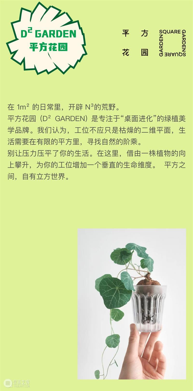 浇个盆友中秋植物市集|工作坊、摊主名单全放送~ 崇真艺客