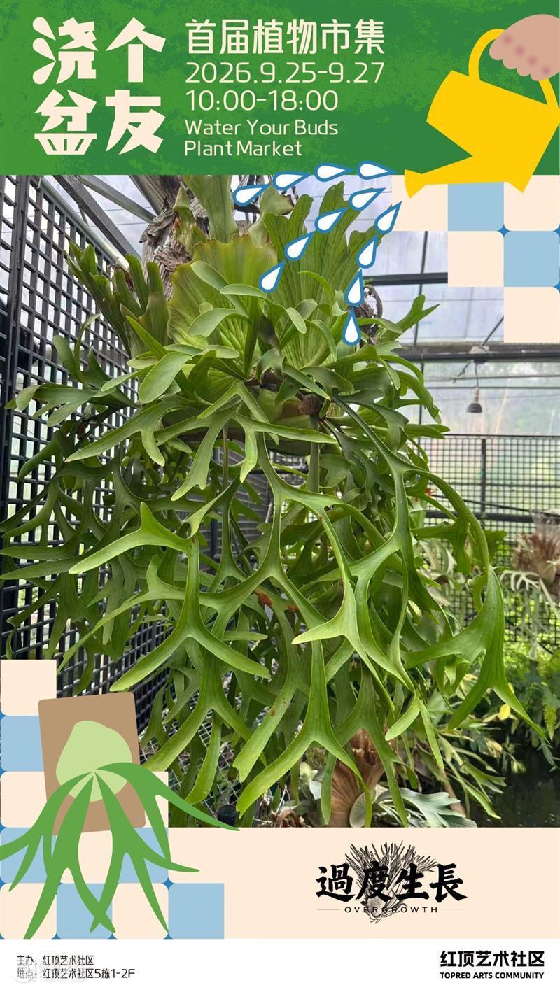 浇个盆友中秋植物市集|工作坊、摊主名单全放送~ 崇真艺客
