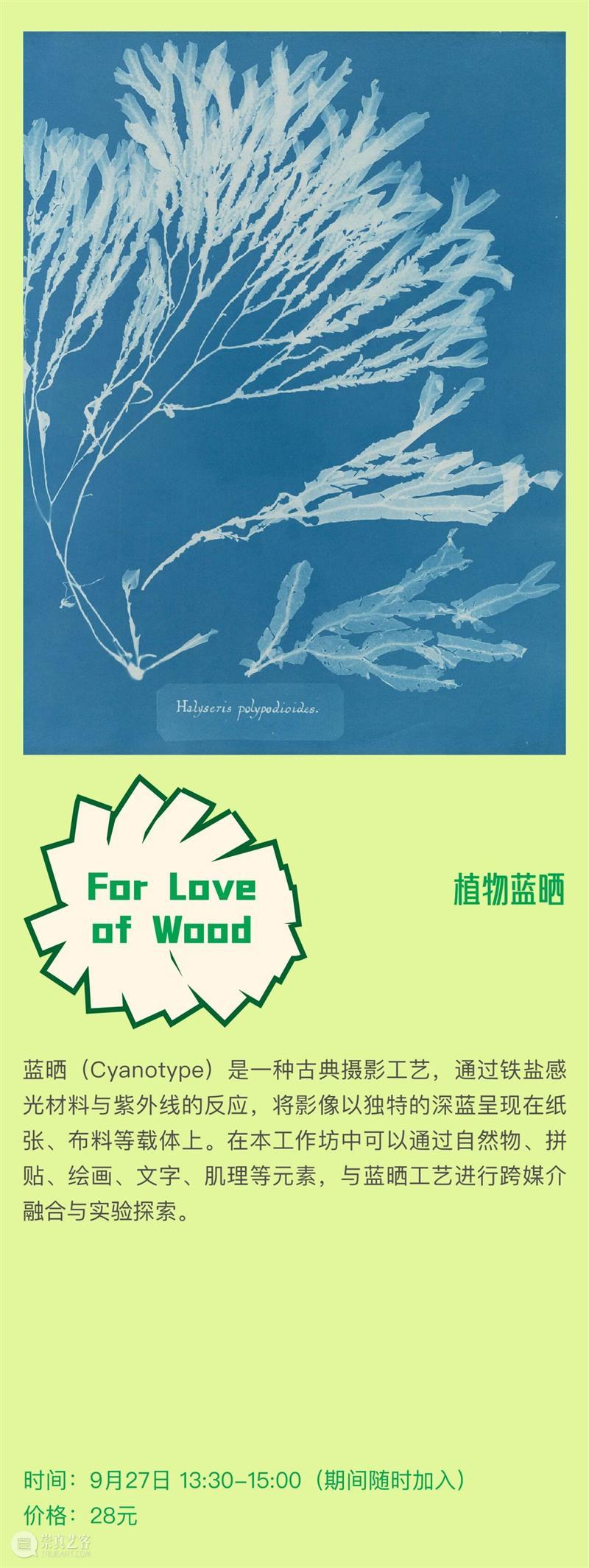 浇个盆友中秋植物市集|工作坊、摊主名单全放送~ 崇真艺客