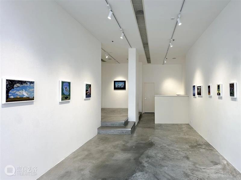 开幕回顾 | 江俊雅个人展览「看雪花的鸟」 崇真艺客