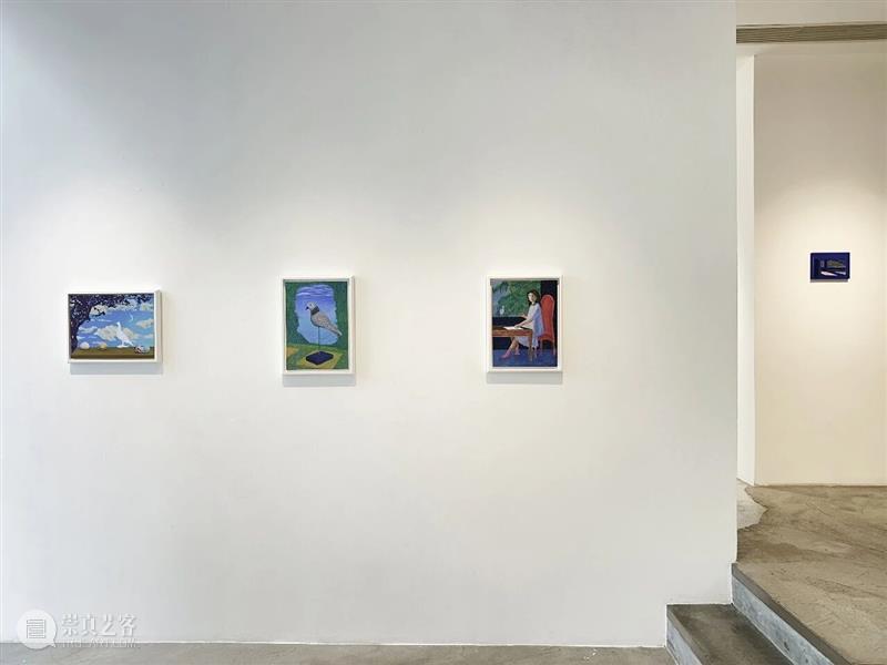 开幕回顾 | 江俊雅个人展览「看雪花的鸟」 崇真艺客