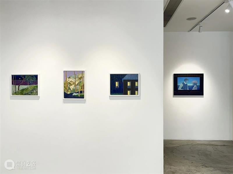 开幕回顾 | 江俊雅个人展览「看雪花的鸟」 崇真艺客