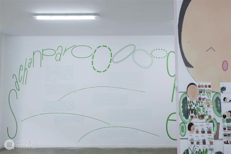 展览现场|Saehan Parc:Ooo0ohae 崇真艺客