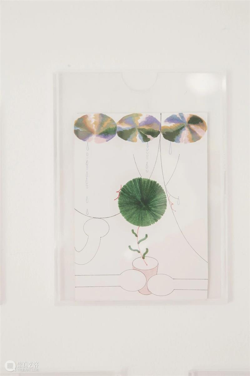 展览现场|Saehan Parc:Ooo0ohae 崇真艺客