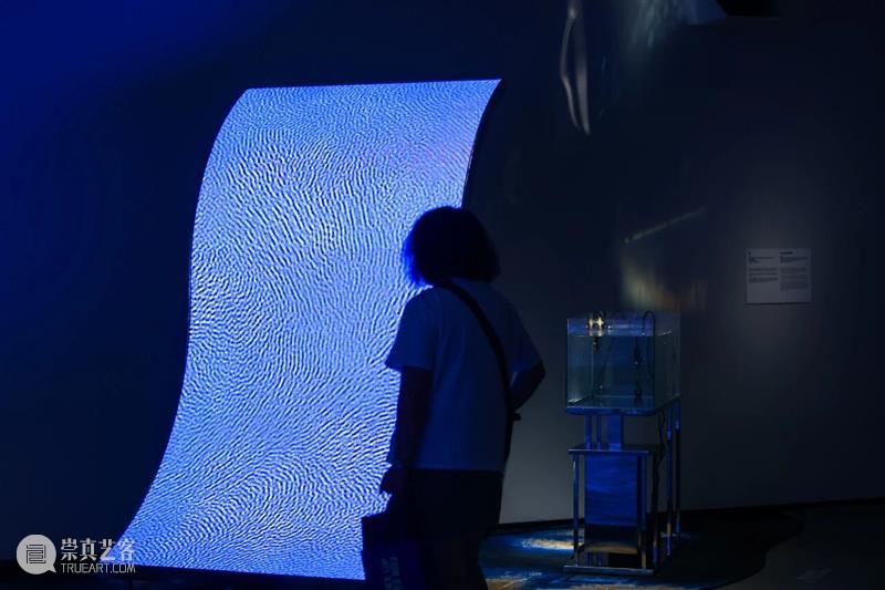 “双曜 / Still, Life：刘佳玉个展”于798CUBE开幕：在算法山水里，东方自然的行星叙事 崇真艺客