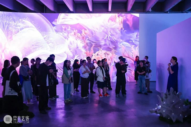 “双曜 / Still, Life：刘佳玉个展”于798CUBE开幕：在算法山水里，东方自然的行星叙事 崇真艺客